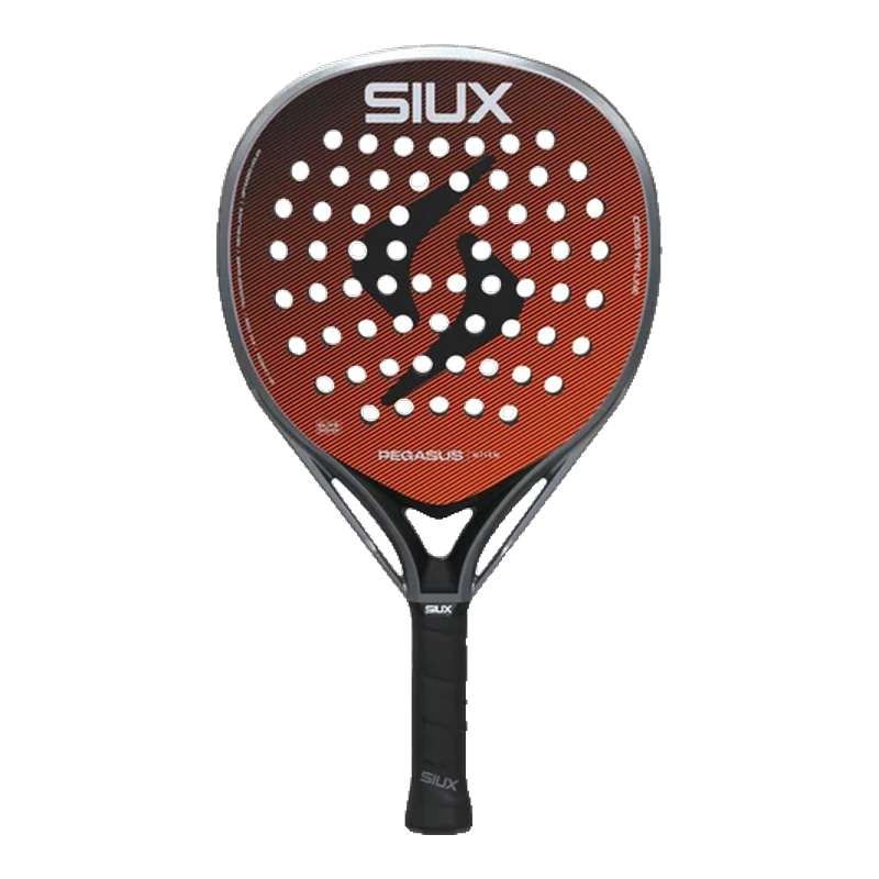 Siux Pegasus Elite 4 2026